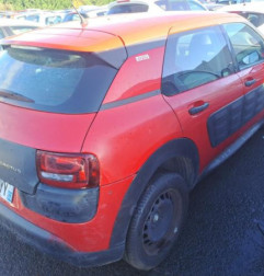 Baguette de porte arriere gauche  CITROEN C4 CACTUS Photo n°6