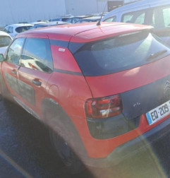 Baguette de porte arriere gauche  CITROEN C4 CACTUS Photo n°7