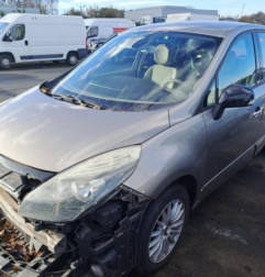 Malle/Hayon arriere RENAULT SCENIC 3 Photo n°4