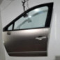 Porte avant gauche RENAULT SCENIC 3