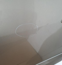 Porte avant gauche RENAULT SCENIC 3 Photo n°3