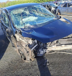 Porte avant gauche RENAULT SCENIC 3 Photo n°6