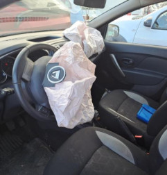 Porte arriere gauche DACIA SANDERO 2 Photo n°8