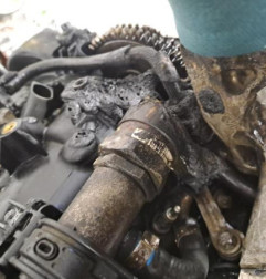 Moteur MERCEDES CLASSE B 247 Photo n°7