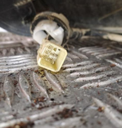 Feu arriere principal droit (feux) SUZUKI SX4 1 Photo n°4