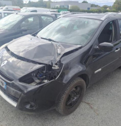 Porte avant gauche RENAULT CLIO 3 Photo n°4