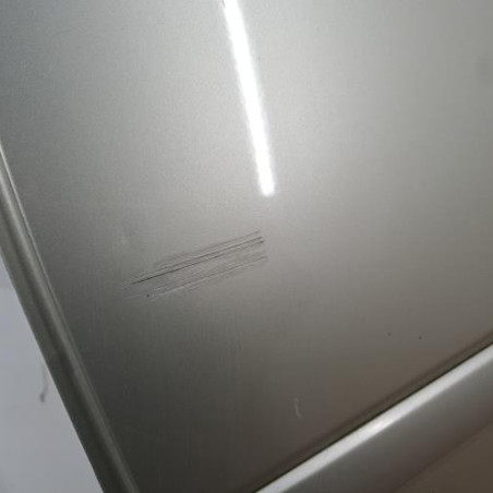 Porte arriere gauche OPEL MERIVA A