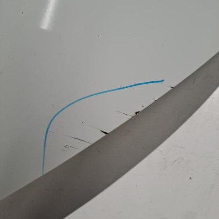 Porte arriere gauche RENAULT ZOE 1