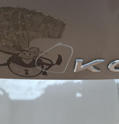 Malle/Hayon arriere RENAULT KOLEOS 1 Photo n°3