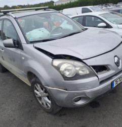 Porte avant gauche RENAULT KOLEOS 1 Photo n°6