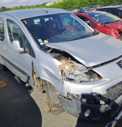 Porte laterale gauche PEUGEOT PARTNER 2 Photo n°6