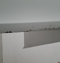 Porte avant droit VOLVO V 60 2 Photo n°5