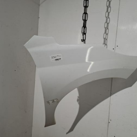 Aile avant droit PEUGEOT 207 Photo n°1