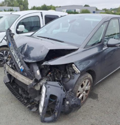 Porte arriere gauche CITROEN C4 PICASSO 2 Photo n°5