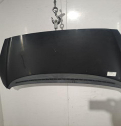 Capot PEUGEOT 1007 Photo n°1