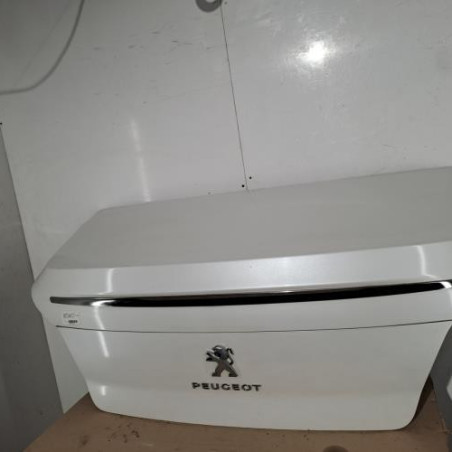 Malle/Hayon arriere PEUGEOT 508 1