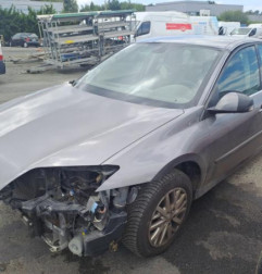 Porte avant gauche RENAULT LAGUNA 3 Photo n°4