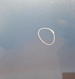 Porte avant gauche OPEL AGILA B Photo n°3