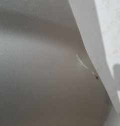 Aile avant gauche TOYOTA COROLLA VERSO 2