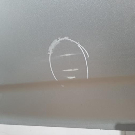 Porte arriere gauche TOYOTA COROLLA VERSO 2