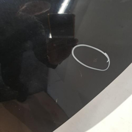 Porte arriere gauche RENAULT CLIO 4