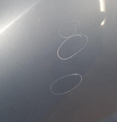 Porte arriere gauche SUZUKI ALTO 3 Photo n°3