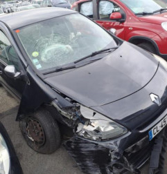 Porte arriere gauche RENAULT CLIO 3 Photo n°6