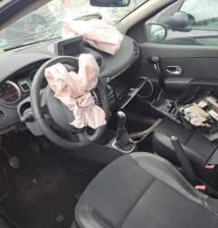 Porte arriere gauche RENAULT CLIO 3 Photo n°9