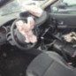 Porte arriere gauche RENAULT CLIO 3