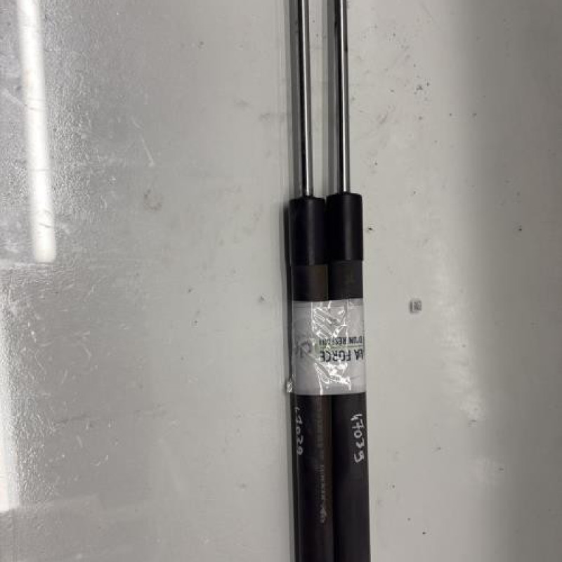 Verin de coffre RENAULT CLIO 3