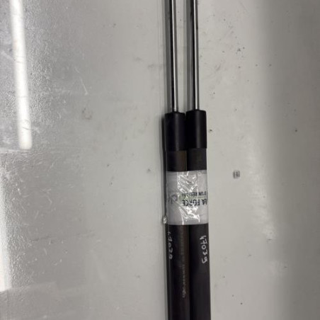 Verin de coffre RENAULT CLIO 3 Photo n°1