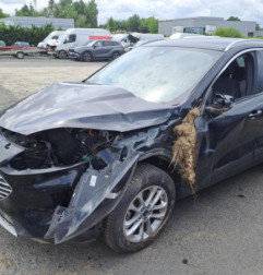 Jante FORD KUGA 3 Photo n°13