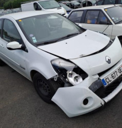 Porte avant gauche RENAULT CLIO 3 Photo n°6