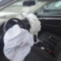 Porte avant droit AUDI A4 2
