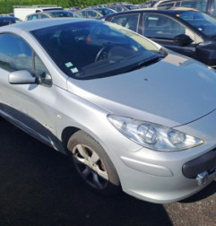 Porte avant gauche PEUGEOT 307 Photo n°6