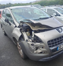 Malle/Hayon arriere PEUGEOT 3008 1 Photo n°5