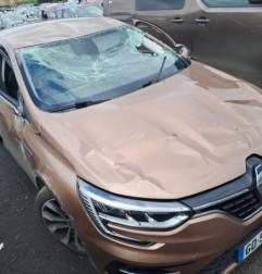 Glace retroviseur gauche RENAULT MEGANE 4 Photo n°6