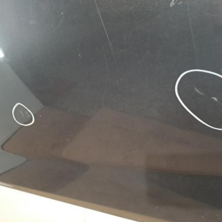 Porte avant gauche BMW X1 E84