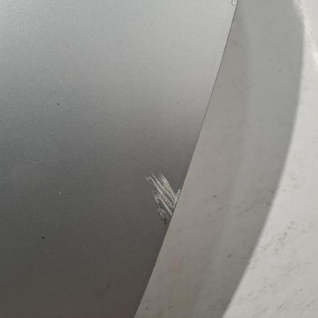 Porte arriere gauche RENAULT CLIO 3