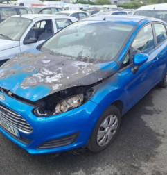 Porte arriere gauche FORD FIESTA 6 Photo n°4