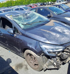 Demarreur RENAULT CLIO 5 Photo n°6