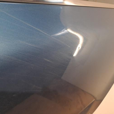 Porte arriere gauche CITROEN C4 PICASSO 2