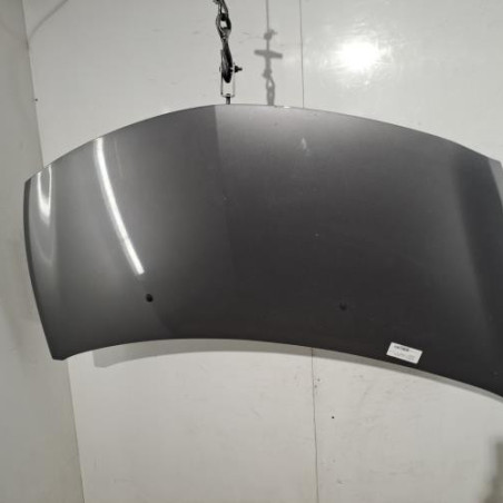 Capot RENAULT CLIO 3 Photo n°1