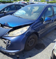 Porte avant droit PEUGEOT 207 Photo n°4