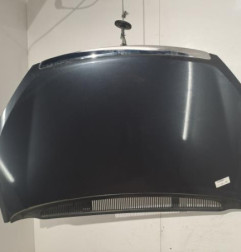 Capot FORD C-MAX 1 Photo n°1