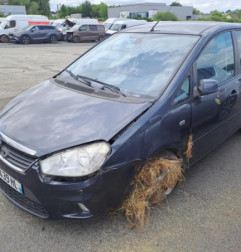 Capot FORD C-MAX 1 Photo n°4