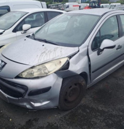 Porte arriere gauche PEUGEOT 207 Photo n°5