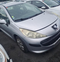 Porte arriere gauche PEUGEOT 207 Photo n°6