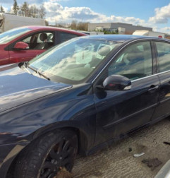 Malle/Hayon arriere RENAULT LAGUNA 3 Photo n°11