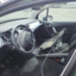 Porte arriere gauche CITROEN C3 2